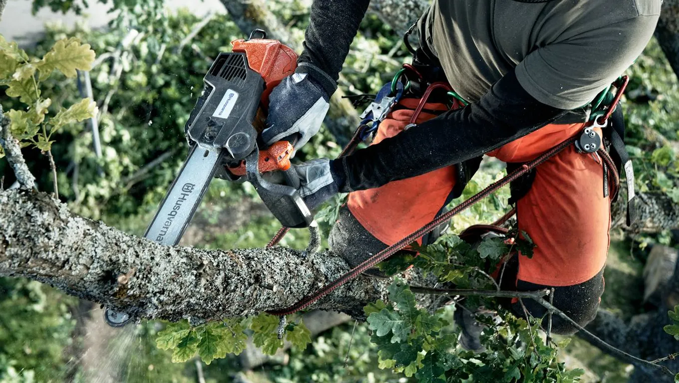 Сравнение бензинов и акумулаторен top-handle трион Husqvarna